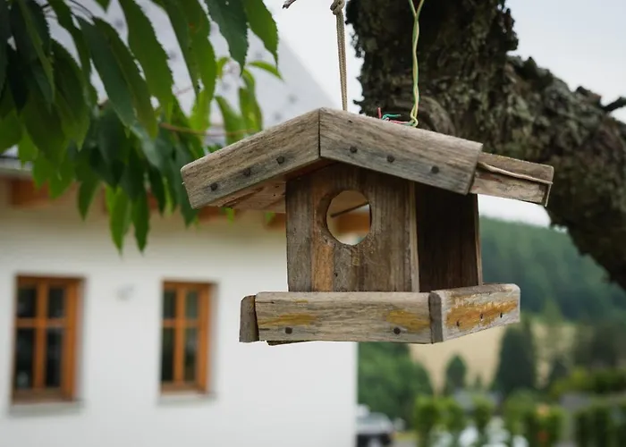 公寓 Pod Tresni Malá Morávka